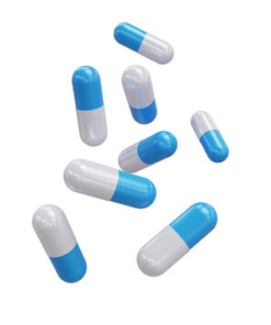 Mucuna Pruriens Capsules 400mg premium grade supplements