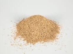 how to buy premium psilocybin powder online in bulk.